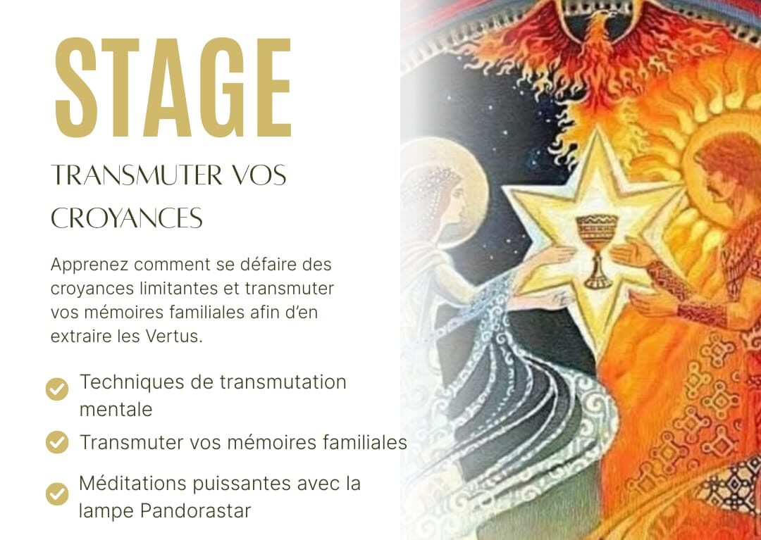 You are currently viewing Les stages avec JV Académie et Energie By Evelyne