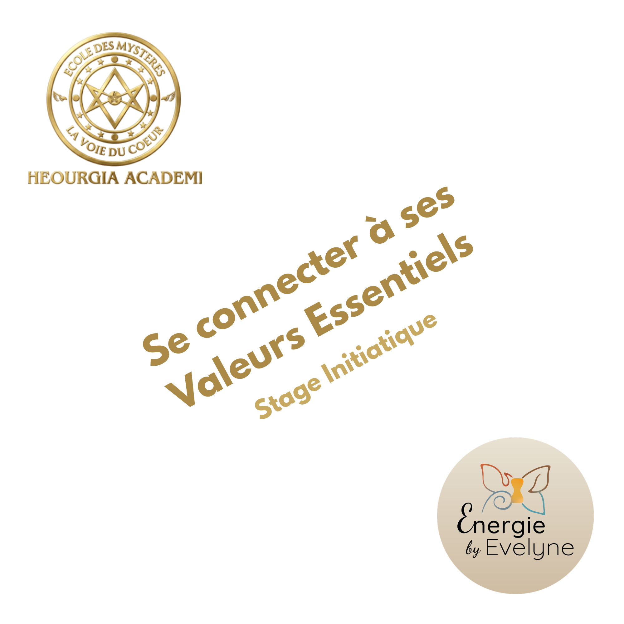 You are currently viewing Se connecter à ses valeurs essentielles
